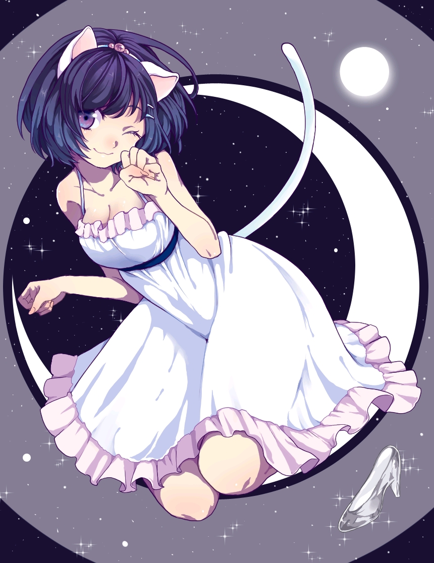 羽川翼的猫 Allesc