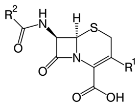 图12[7]:头孢菌素的核心结构.它是从撒丁岛的污水沟中偶然发现的