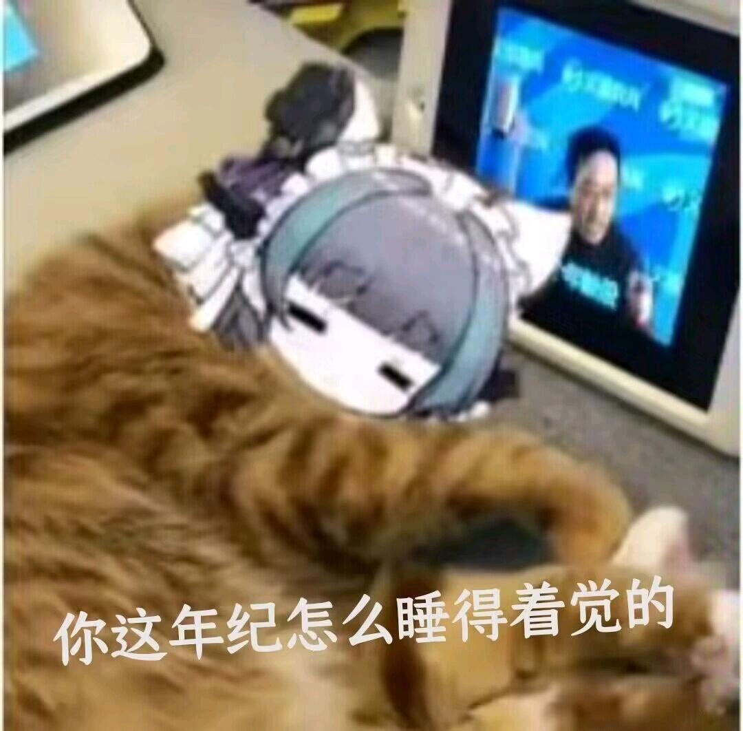 柴郡猪咪表情包25～ - 哔哩哔哩