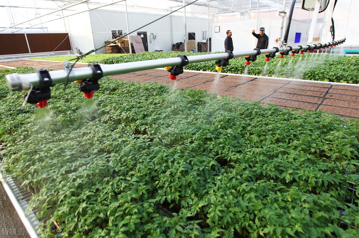 现代农业领域中的智慧大棚系统