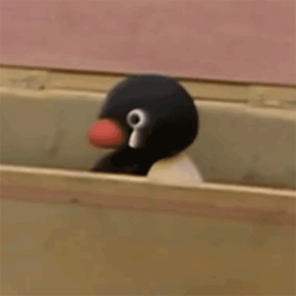  pingu 