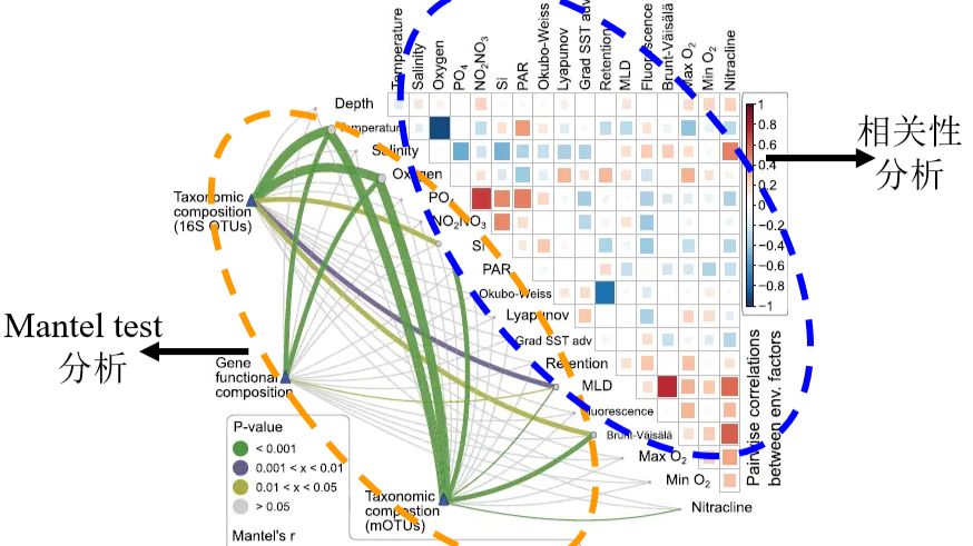 【R 语言可视化】Mantel_test 的实现与绘图 - 哔哩哔哩