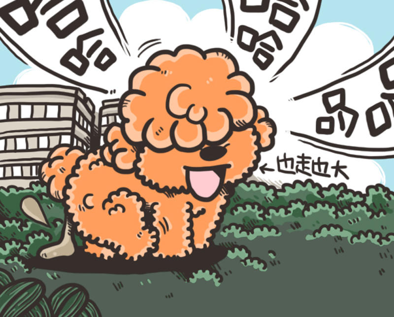 聒噪墙头草多动症的番茄同学