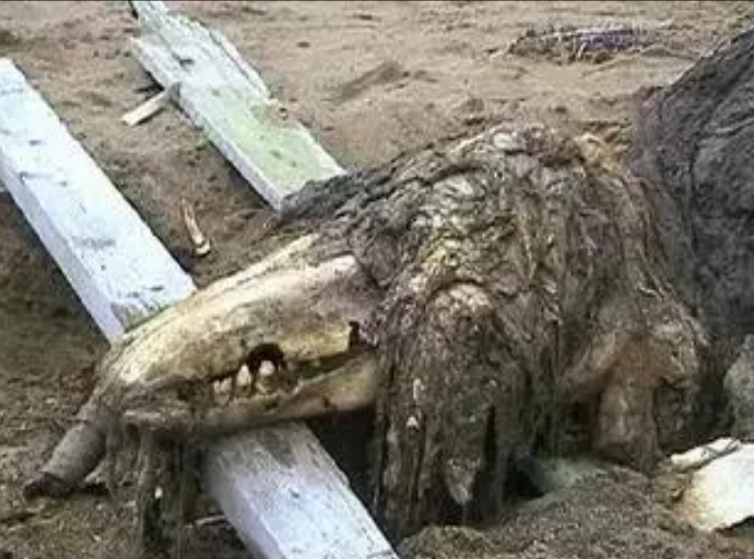 盘点scp中最恐怖的十大收容物