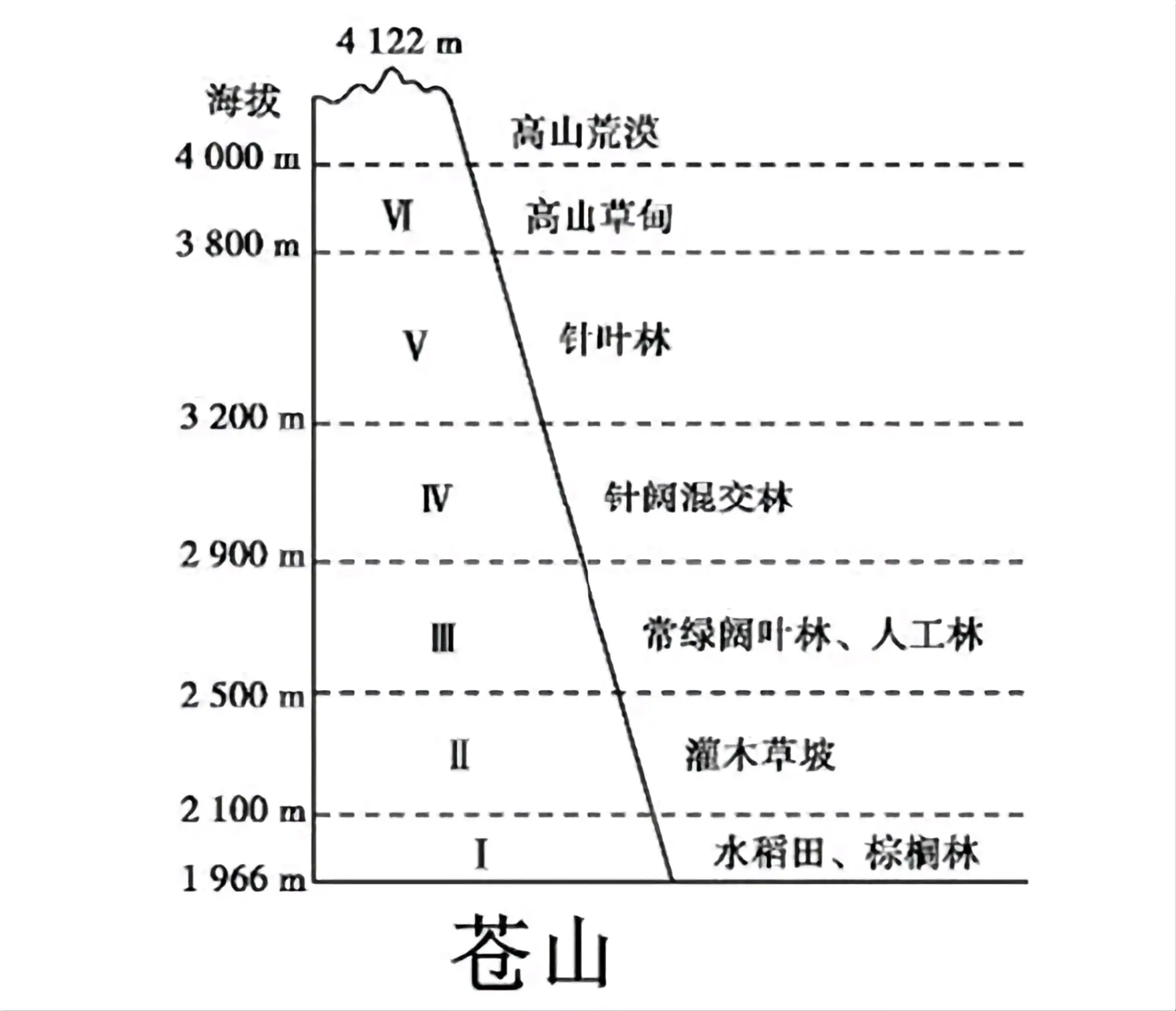高中地理·垂直地带性植被分布