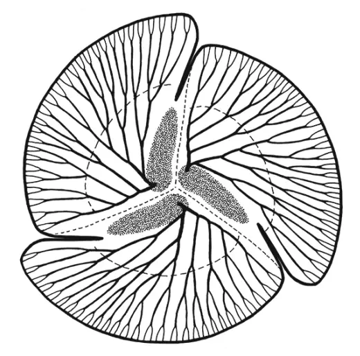 白海飞流紫塞空