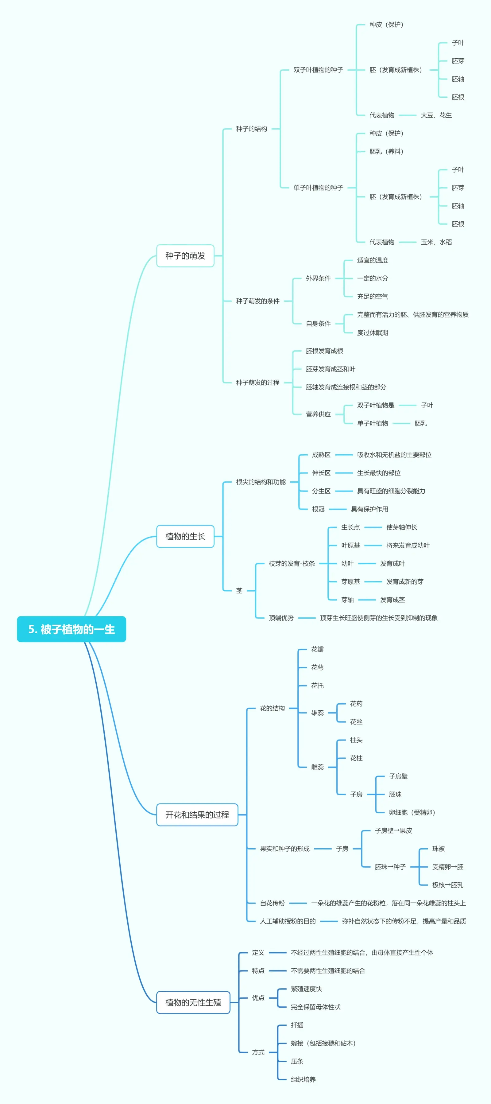 管道的故事思维导图图片