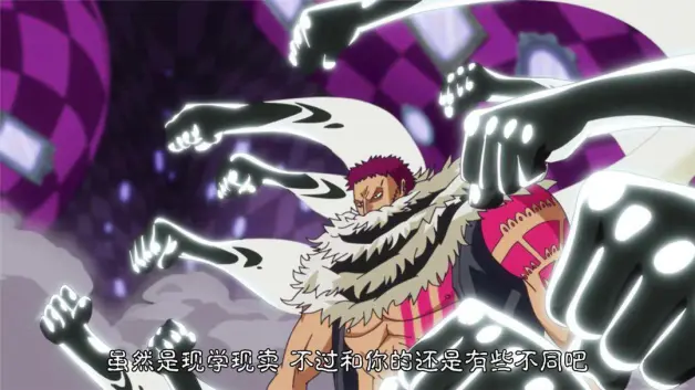 动漫讨论堂 海贼王 超人系果实大排名 白胡子遗憾获得亚军 哔哩哔哩