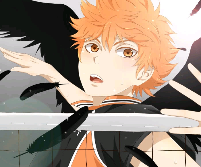 排球少年第四季,你准备好了吗?