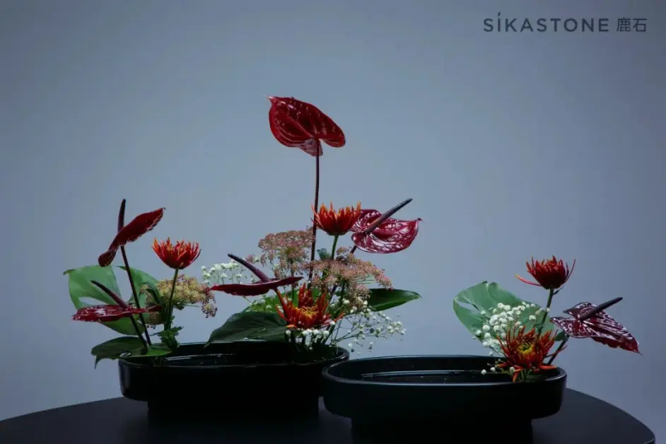 小原流教授证书到底值多少钱 哔哩哔哩