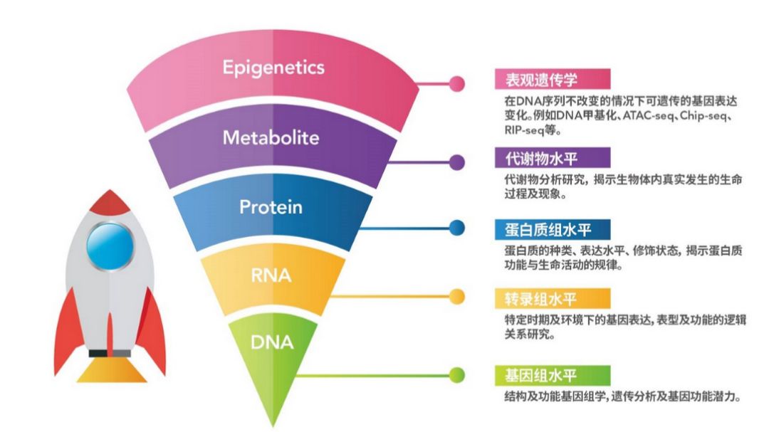 干货第一弹！多组学联合分析之代谢组FAQ - 哔哩哔哩