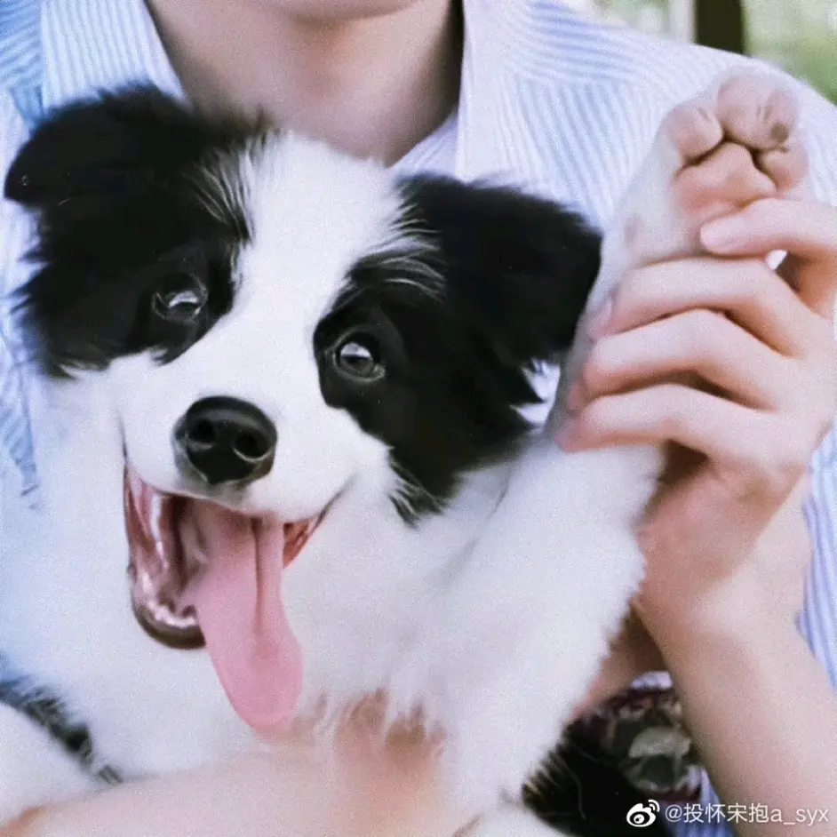 文轩】独家占有番外//七夕小特辑- 哔哩哔哩