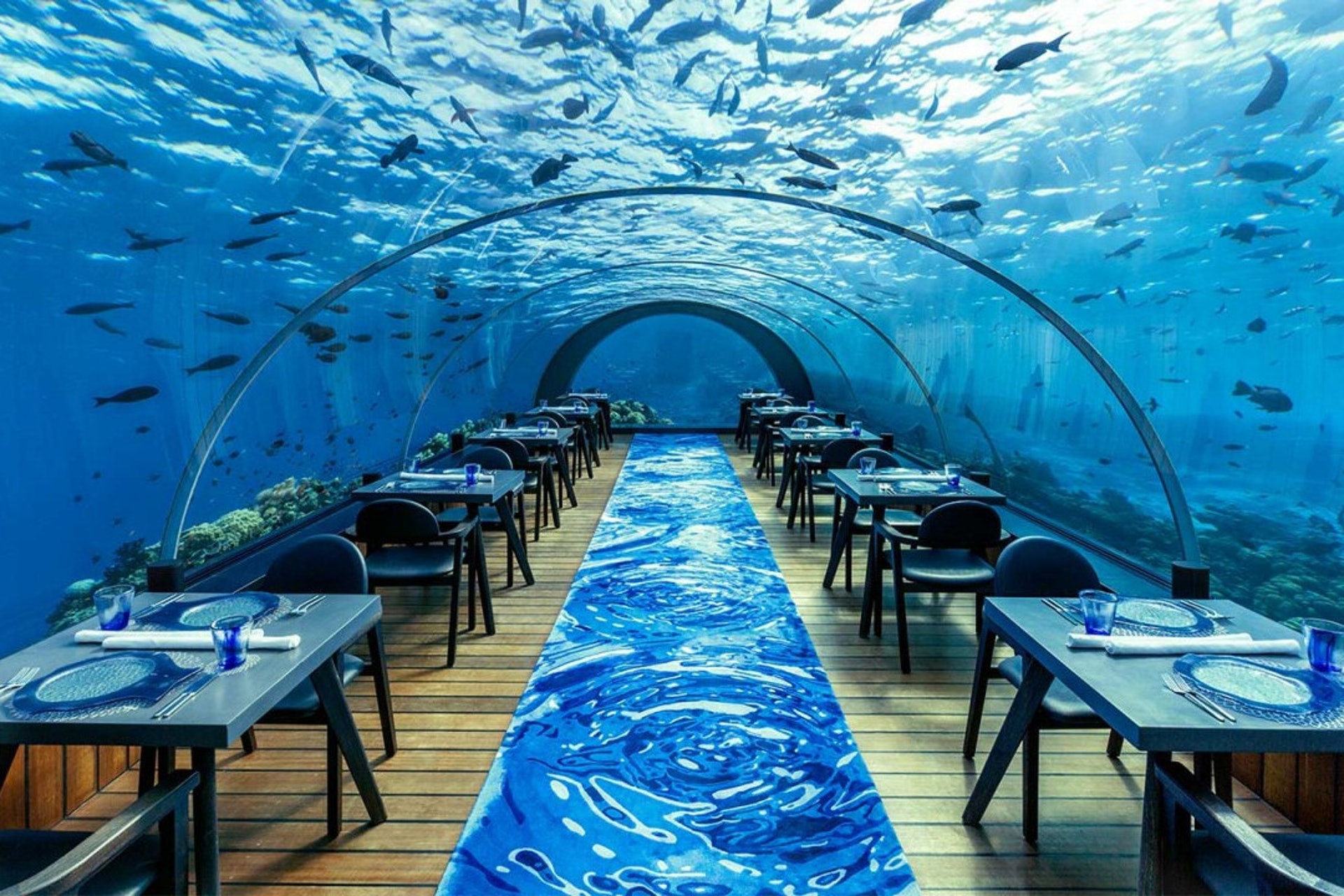 海洋餐厅设计与建造-上海艺海园景观工程有限公司