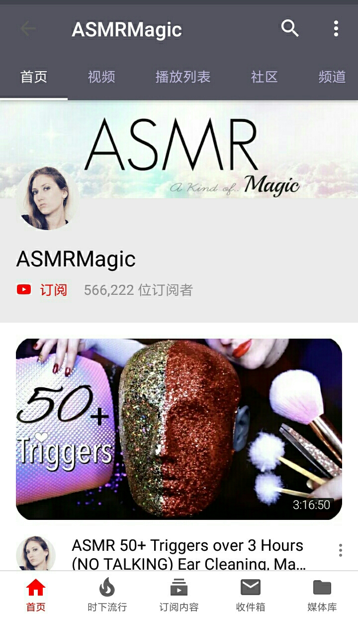 国外ASMR视频主(关注量的解析)(在B站比较知