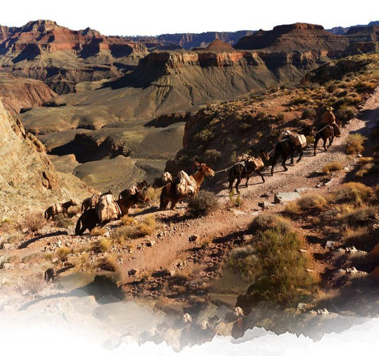 戈壁商学院重走茶马古道 再现马帮精神|追溯历史深度文化体验