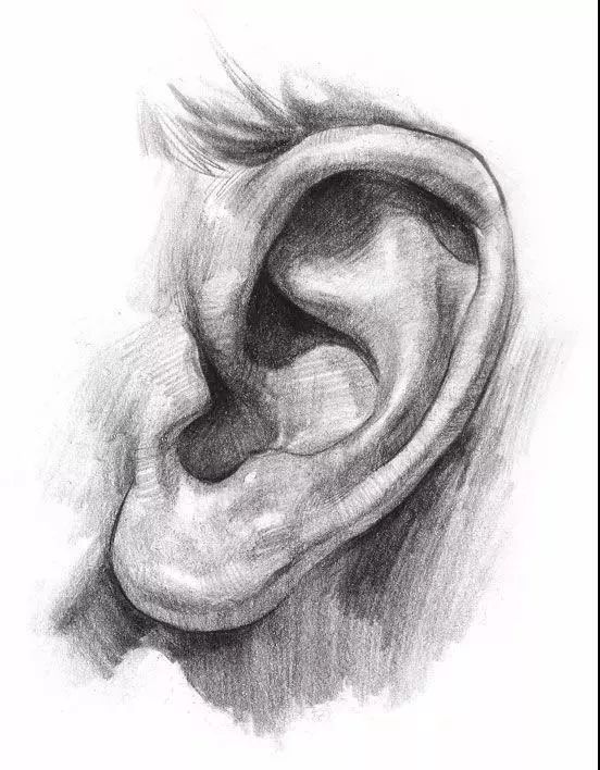 纯干货|画不好五官,看这篇专栏就够了!