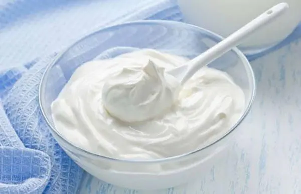 狗狗喜欢喝酸奶 是所有酸奶都可以喝吗 宠物狗喝酸奶常识有哪些 哔哩哔哩