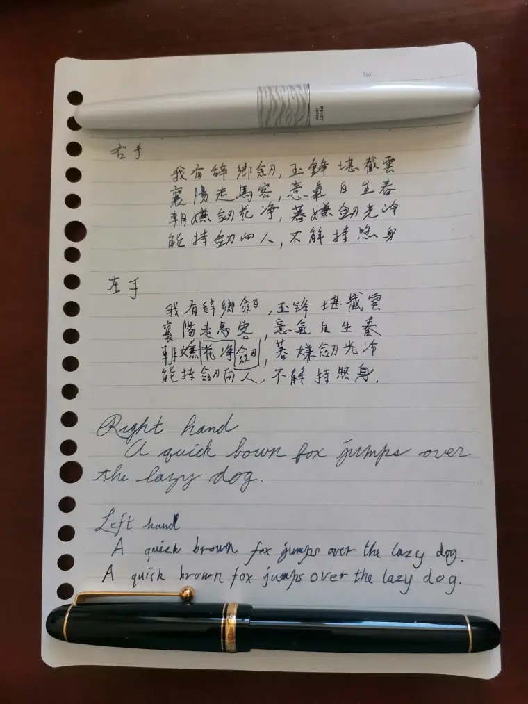 左手写字练习 左右手对比 哔哩哔哩