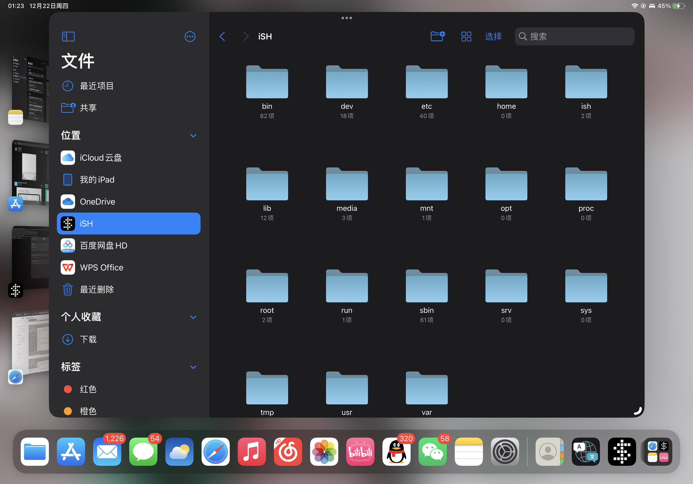 （免越狱）在你的iPhone或者iPad里面利用ish安装Linux 哔哩哔哩