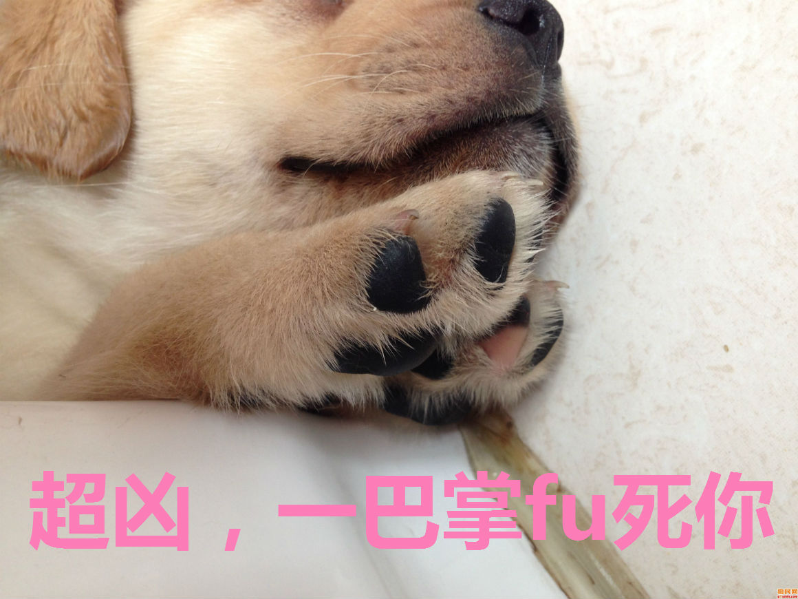 老年人的内心受到了一堆暴击,事实证明,男孩子可爱起