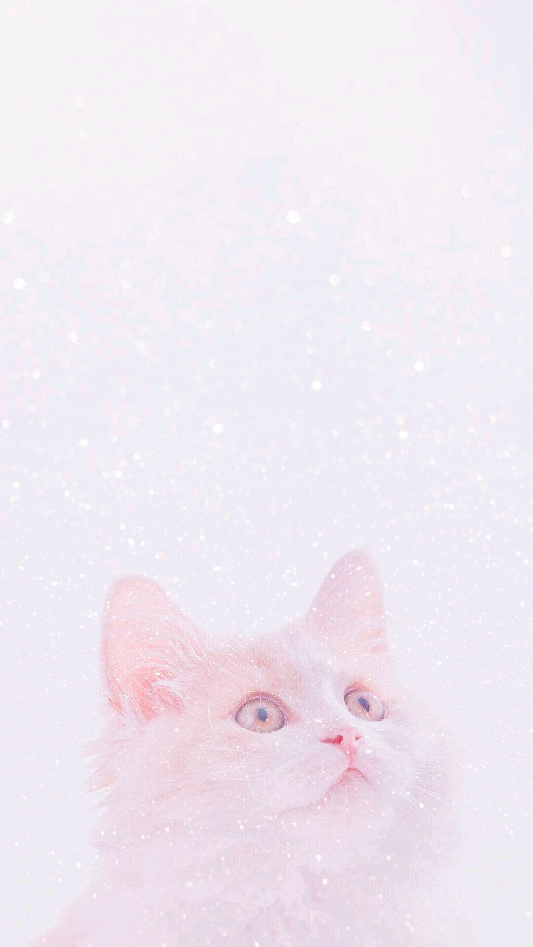 粉色系少女心-高清壁纸,聊天背景