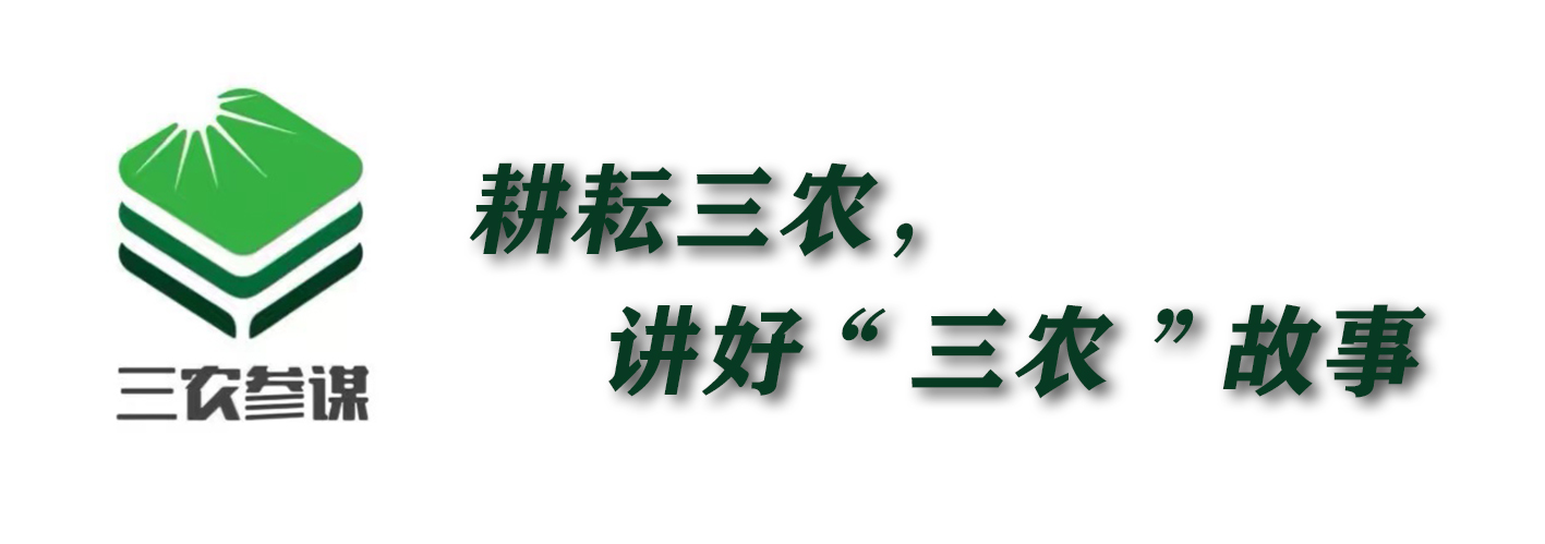 致富经：“活体蔬菜”种植效益高，一棚收入七万多，能否入局？