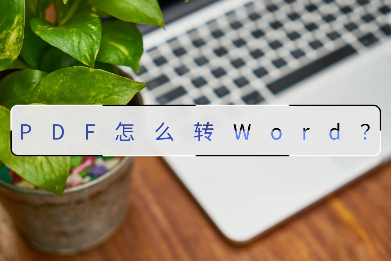 Pdf word 