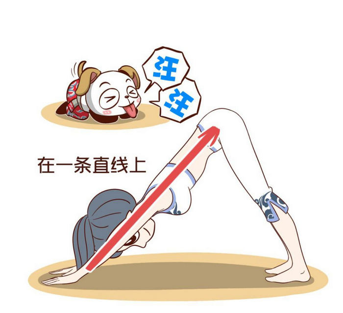 瑜伽下犬式脚跟不能落地背部不直怎么办?