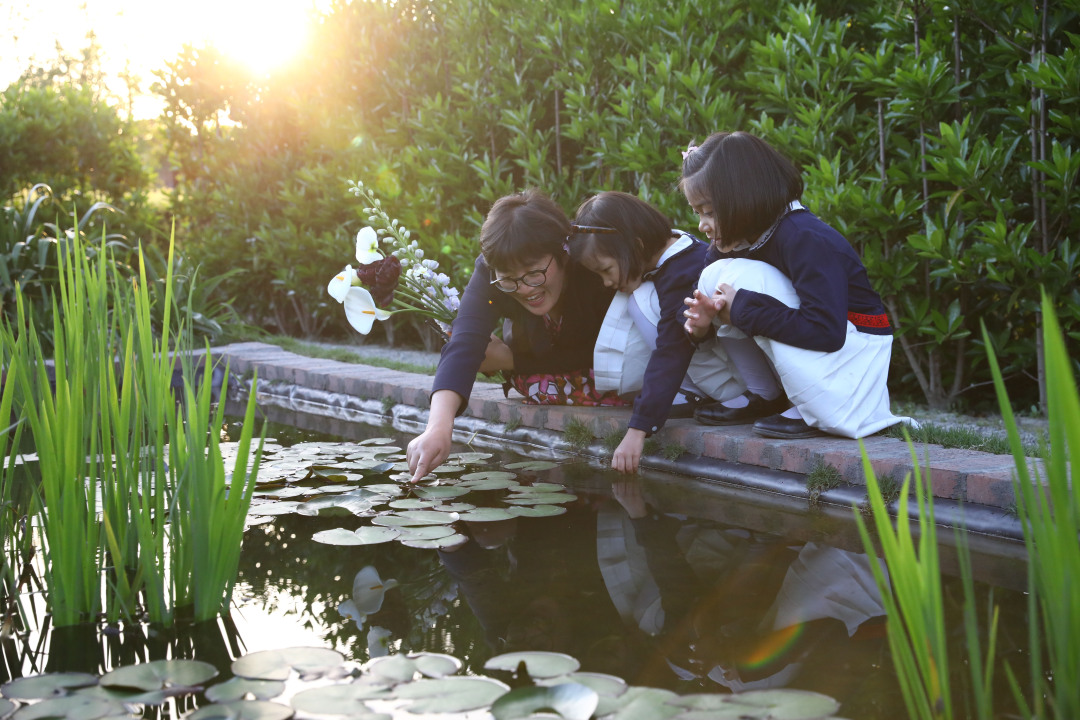海妈园艺课堂 | 建一座完全不打药的生态花园,所有生命在这里和谐共处 - 哔哩哔哩