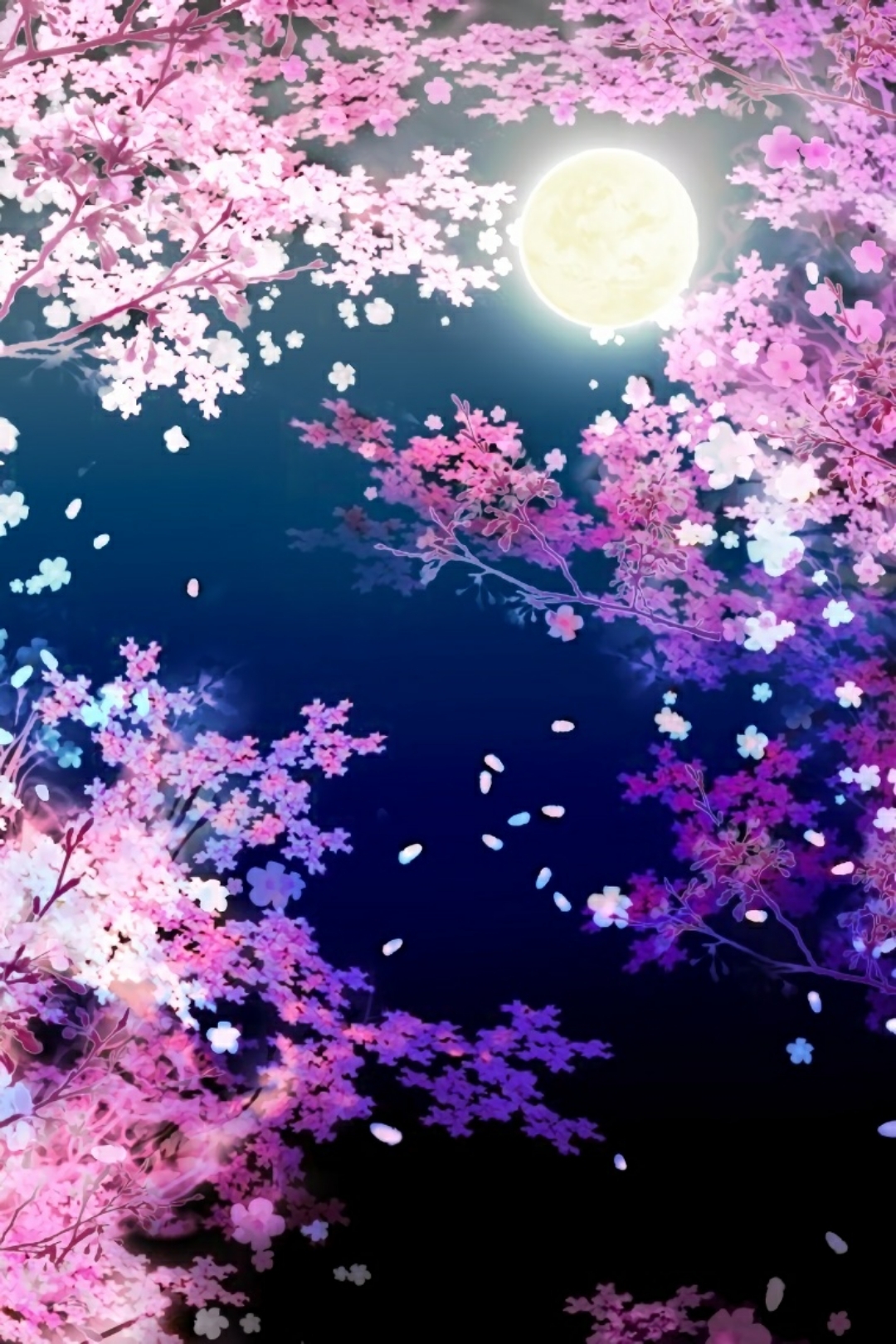 壁纸放送樱花专场