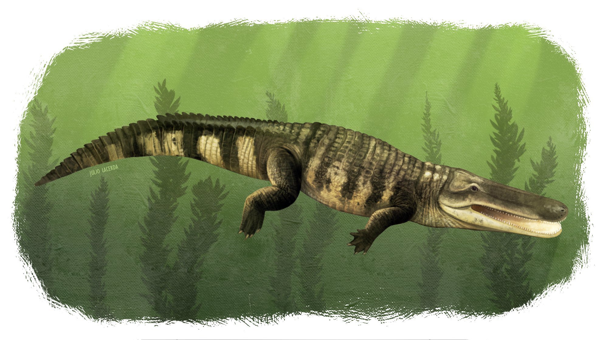 君王马奇莫鳄：来自北非的白垩纪海中巨鳄 - 知乎