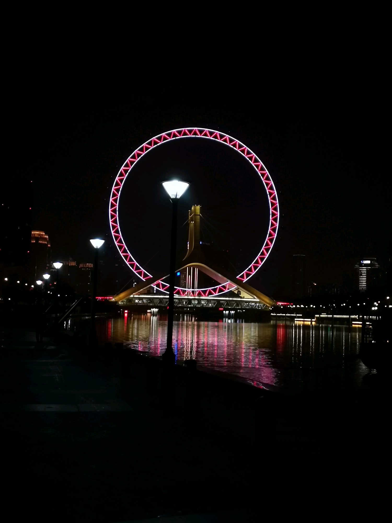 夜晚的天津之眼