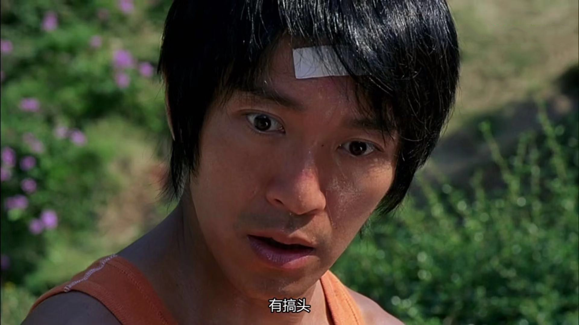 这个合集包有搞头!