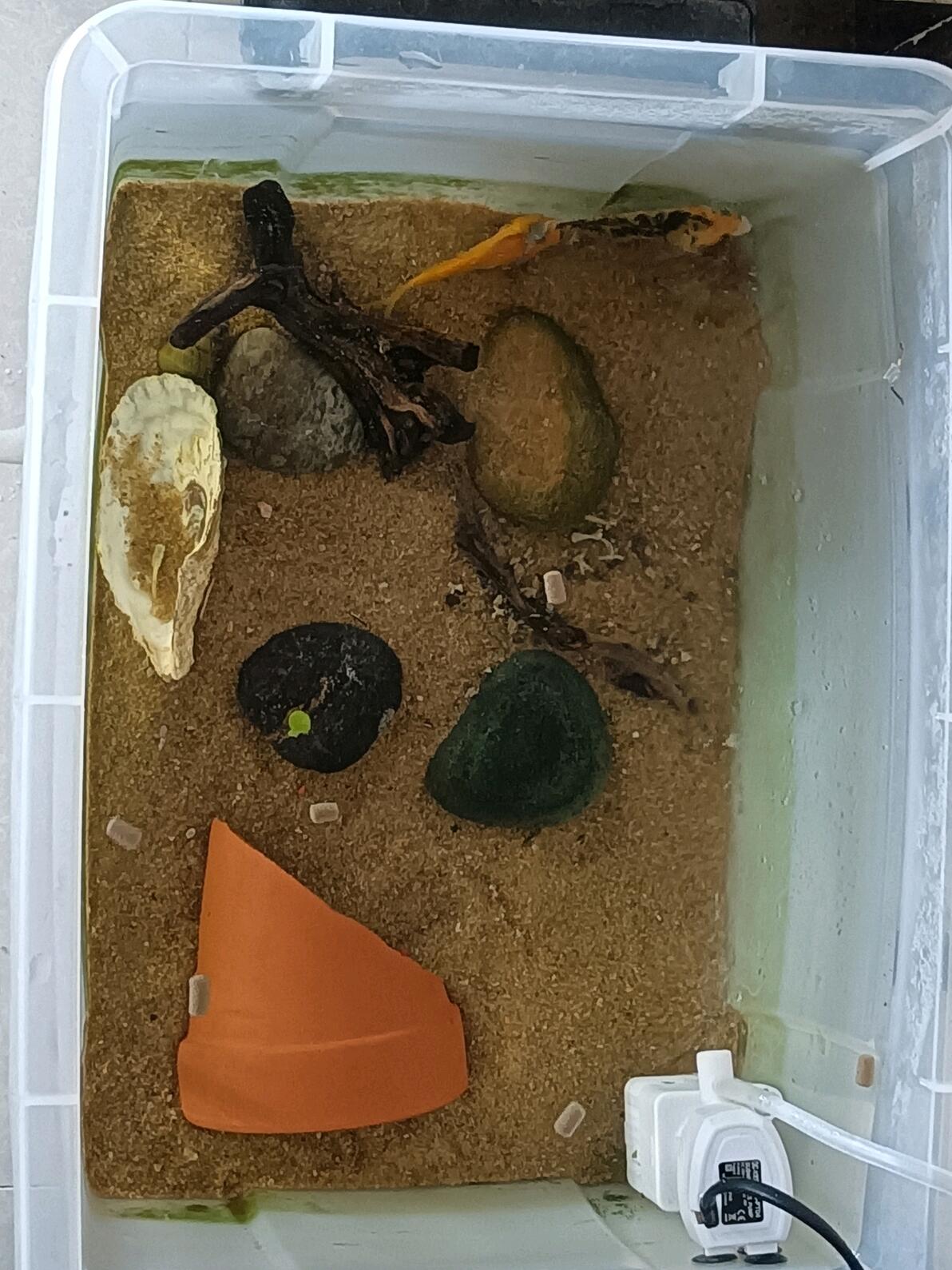 招人_招人图片配图_招人用什么软件免费