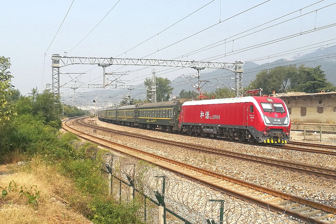 k1805,中午的传统红枣