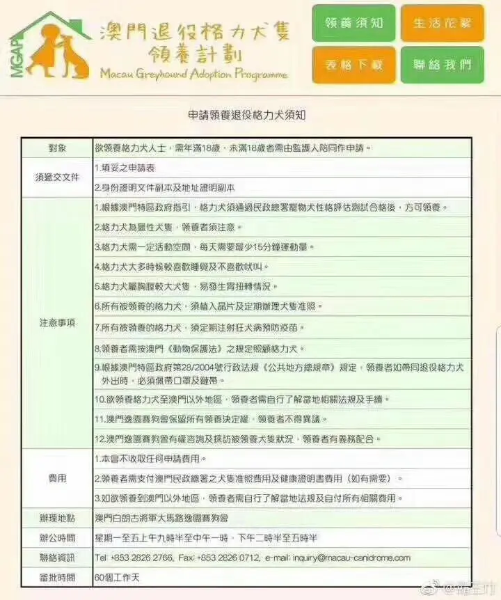 不要让这些格力犬死的比流浪狗还惨 哔哩哔哩