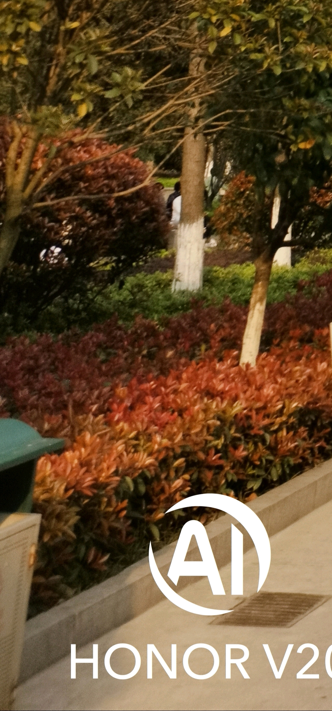 红米note7pro和荣耀V20拍照对比,