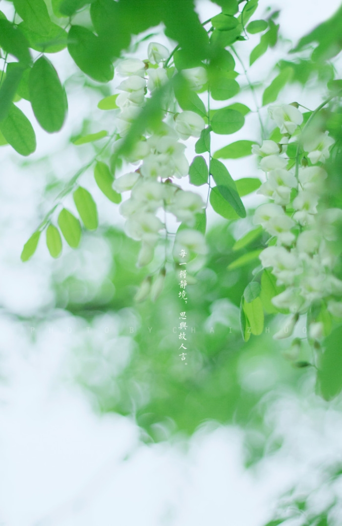 听什么歌都像在唱自己