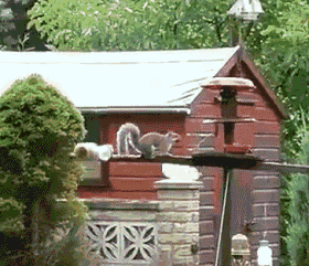 280_241gif 动态图 动图