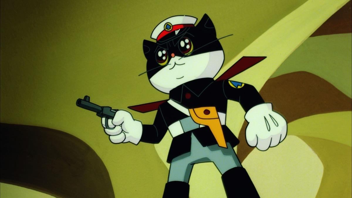 你真的了解猫咪吗你以为你主子在看着你实则20米开外人畜不分