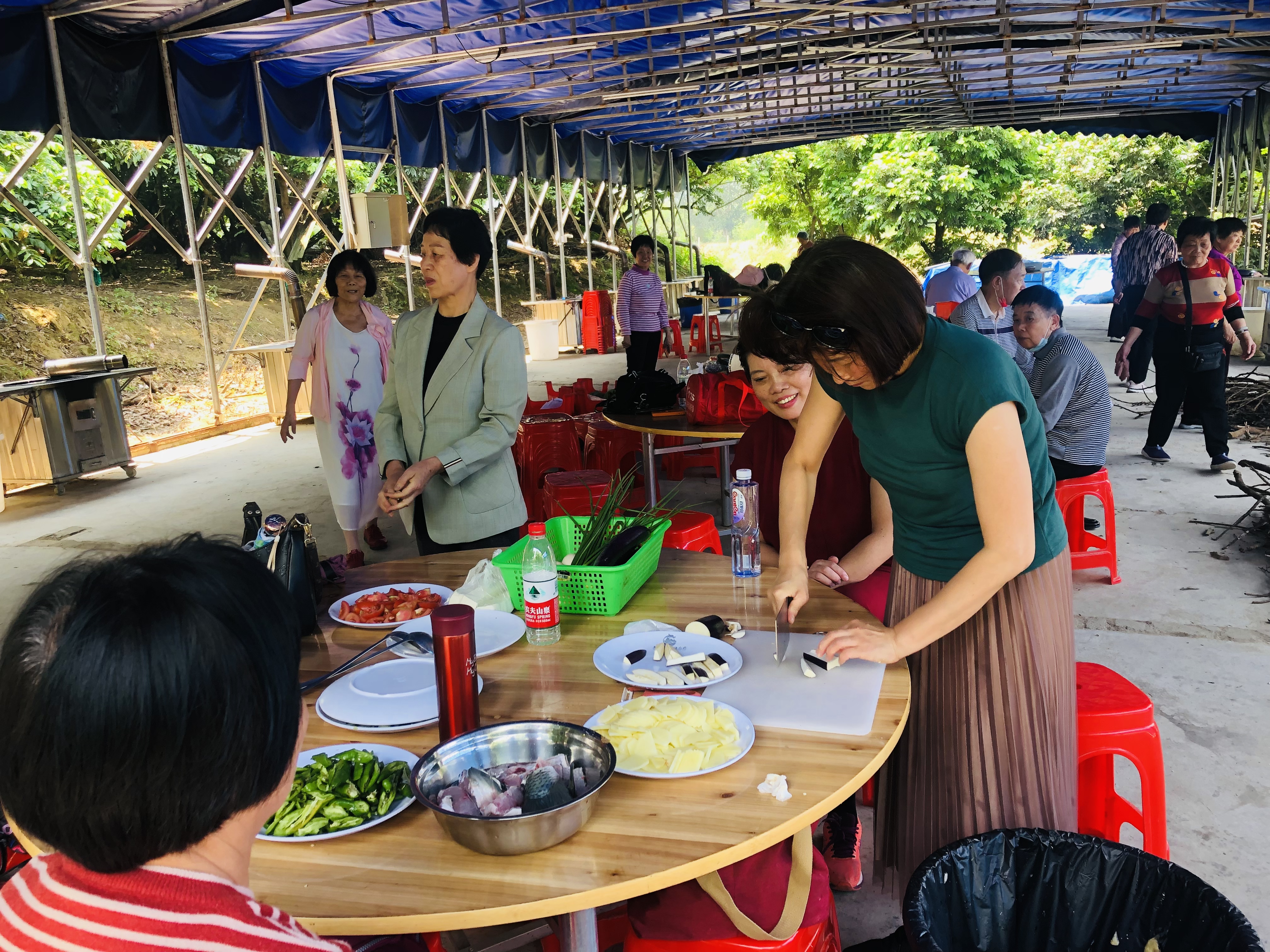 采摘的乐趣：走进果树采摘园