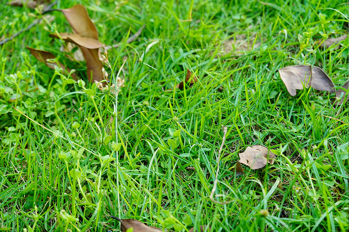 索尼黑卡6(RX100M6)深度入手评测:到底值不值