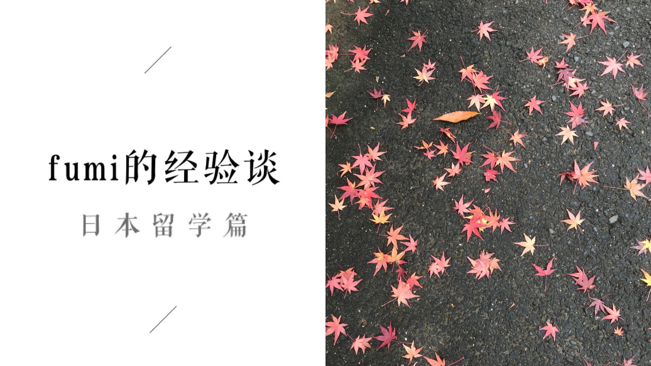 写给正在考虑来日本读研的同学 二 备考的几条途径 哔哩哔哩