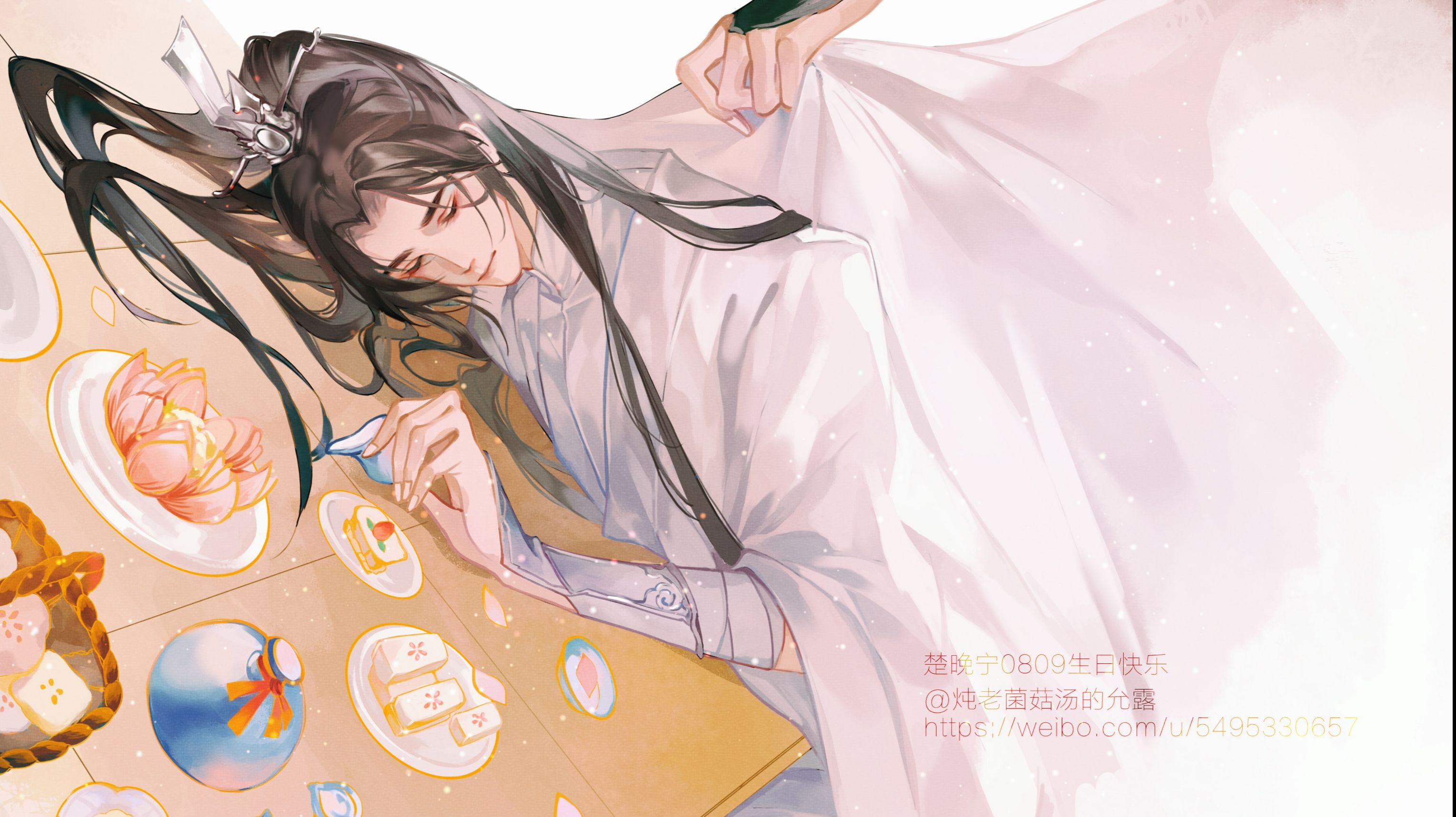 二哈和他的白猫师尊 2ha海棠微雨 タイ版 10巻