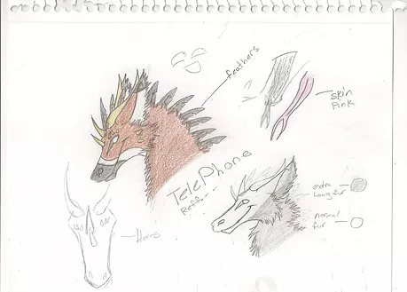 荷兰天使龙 官网译文(3)——小狼联盟