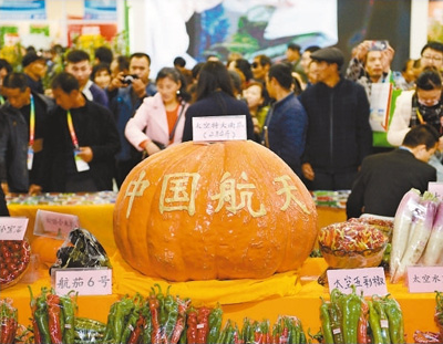 图为太空育种培育的新品种蔬菜