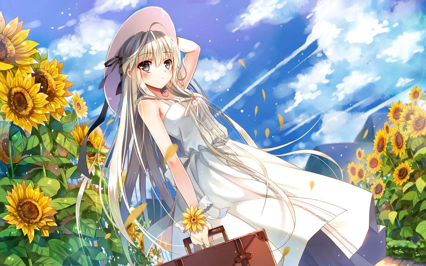 四部虽非真后宫但强过伪后宫的动漫!