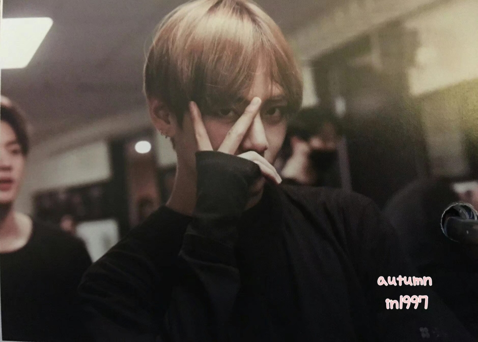 【防弹少年团】【金泰亨】【金泰亨X你】老虎？pito？（可能是预告）