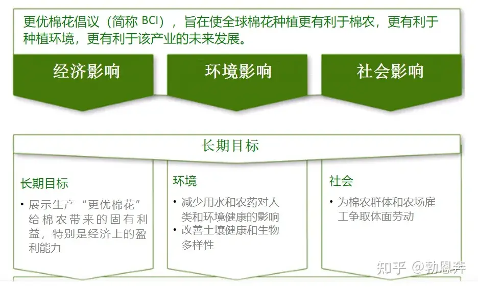 i 到底是一个怎样的组织 是如何运作的 哔哩哔哩