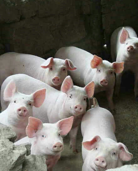 如何用一篇周记让高中班主任找我谈话